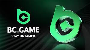 Exploring the Exciting World of BC.Game Player Bets 11